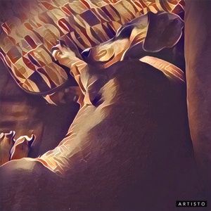 Meet your Posher, Tim